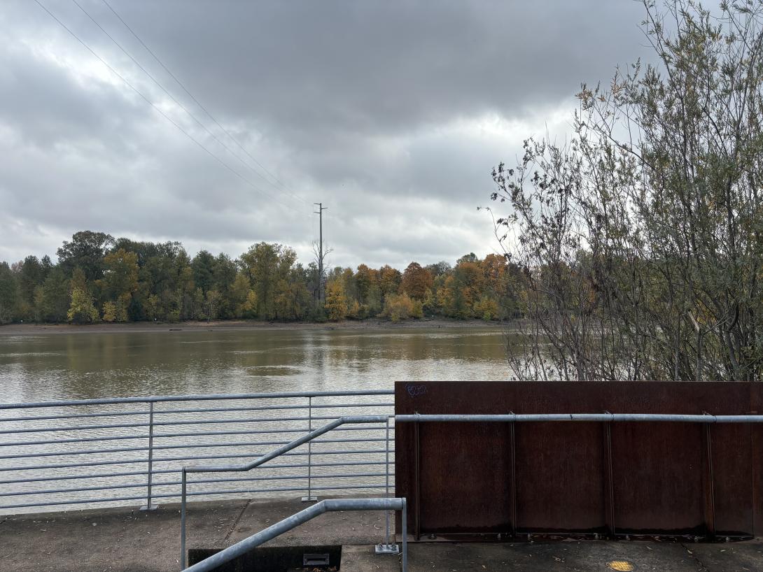 Looking over the Willamette river from South Waterfront